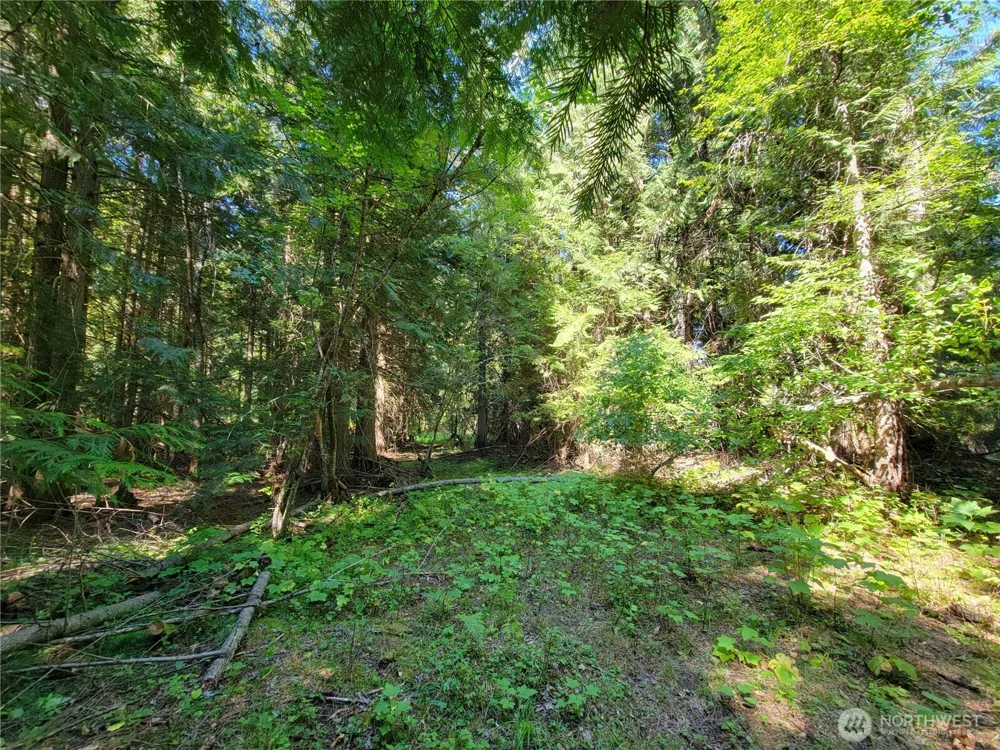9999 Lone Ranch Rd Danville, WA 99121