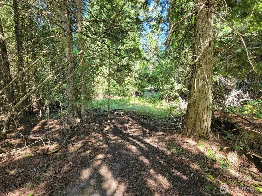 9999 Lone Ranch Rd Danville, WA 99121