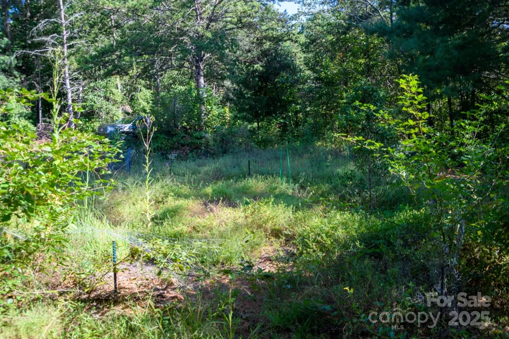 2340 Twin Poplars Lane Lenoir, NC 28645