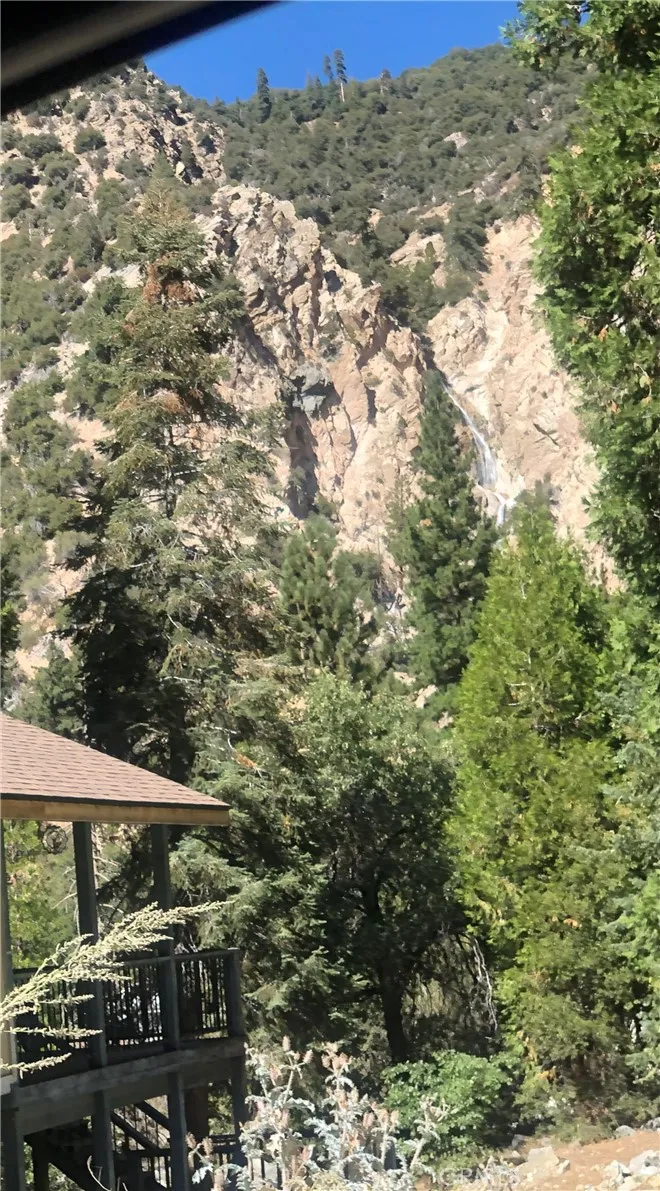 41424 Valley of the Falls Drive Forest Falls, CA 92339
