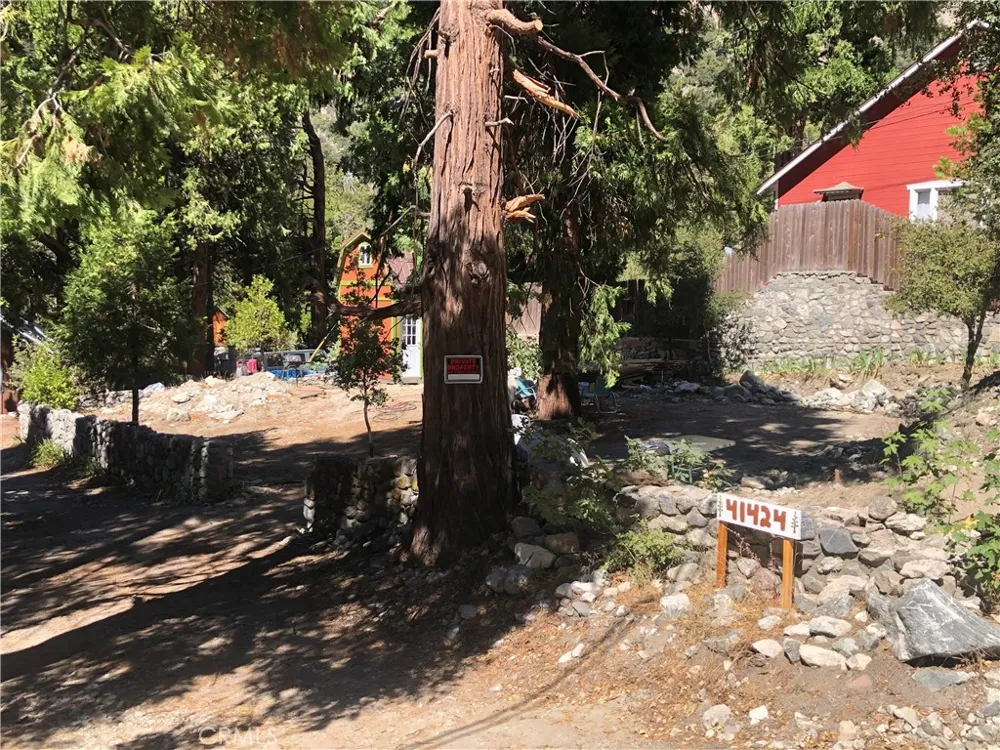 41424 Valley of the Falls Drive Forest Falls, CA 92339
