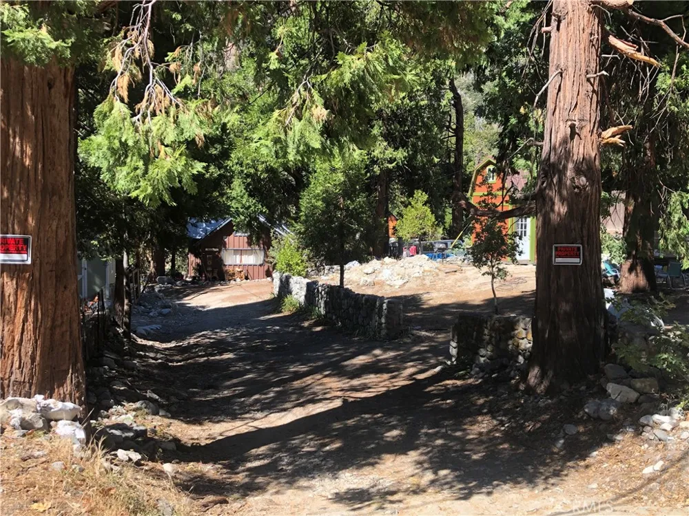 41424 Valley of the Falls Drive Forest Falls, CA 92339