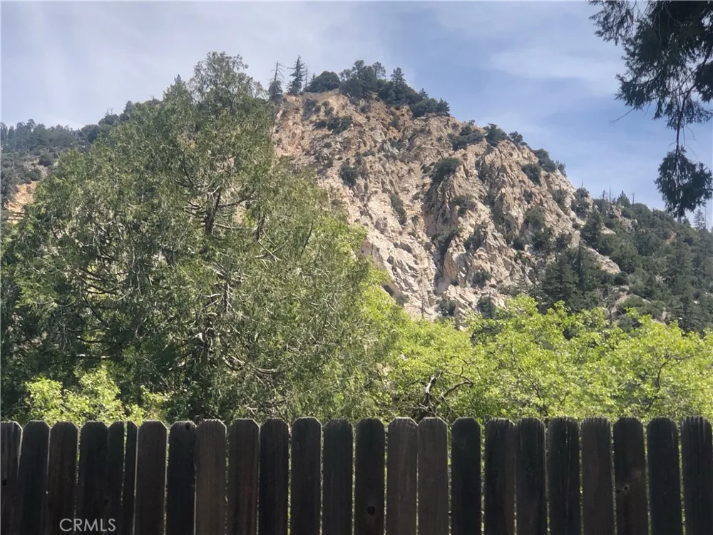 41424 Valley of the Falls Drive Forest Falls, CA 92339