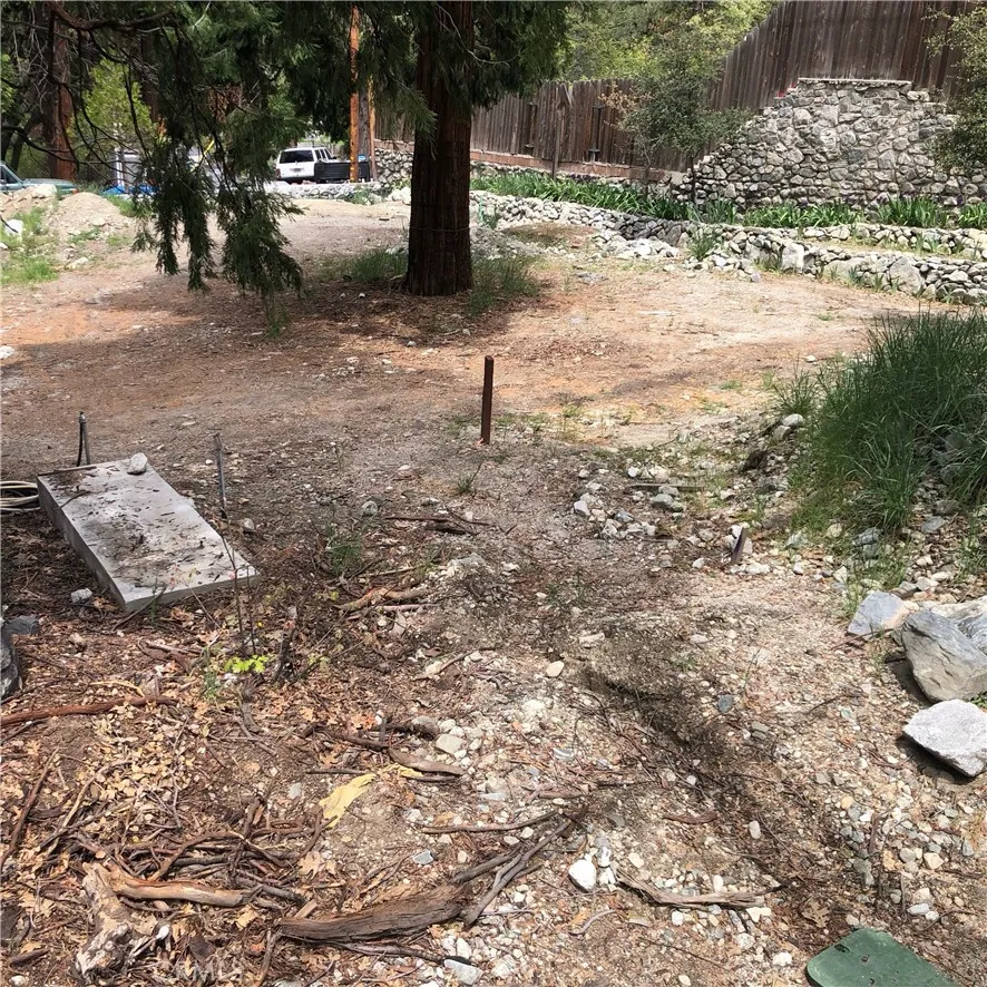 41424 Valley of the Falls Drive Forest Falls, CA 92339