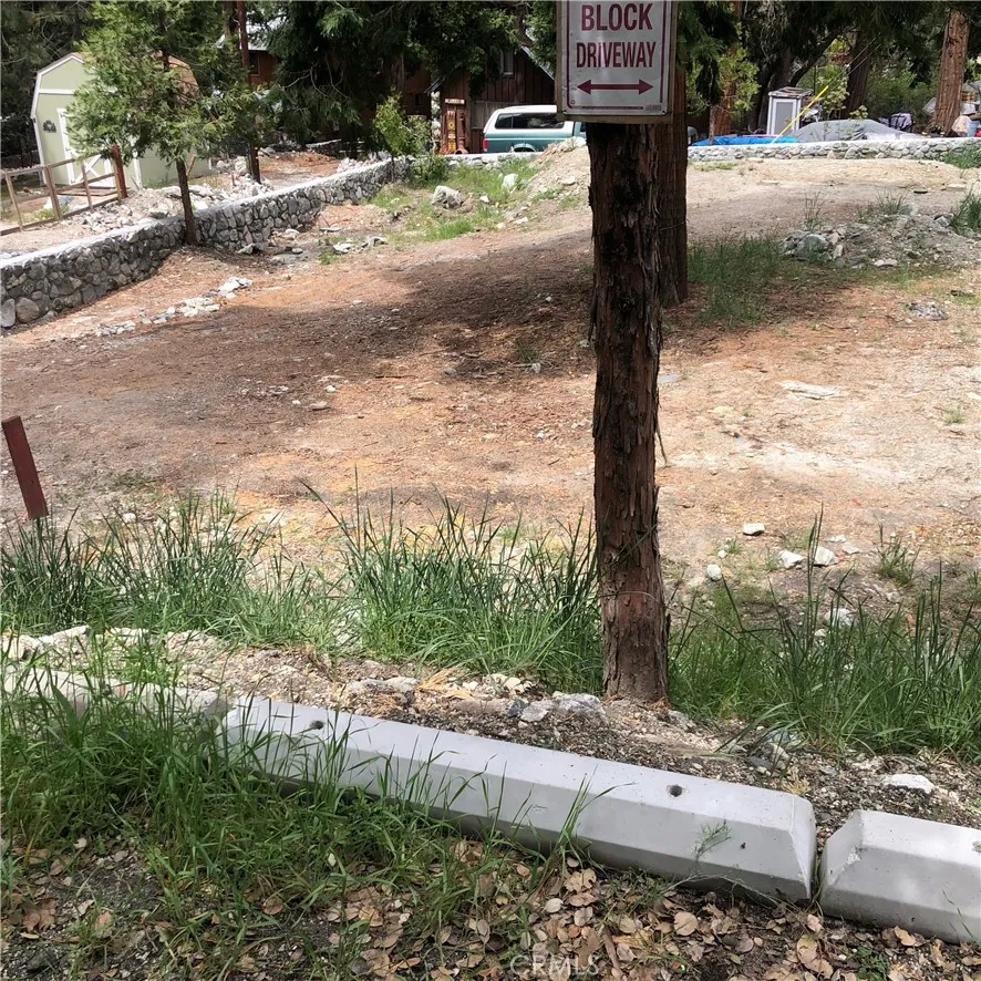41424 Valley of the Falls Drive Forest Falls, CA 92339