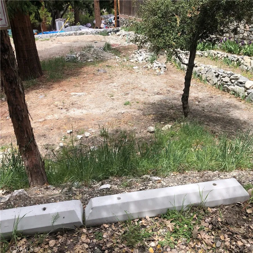 41424 Valley of the Falls Drive Forest Falls, CA 92339