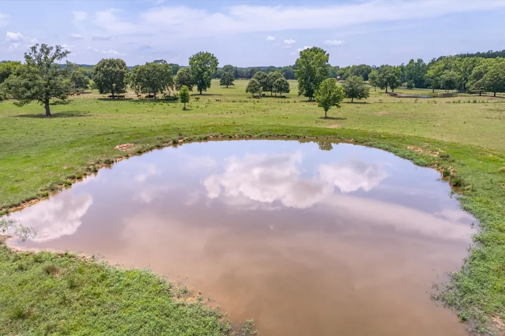 17104 County Road 1100 Flint, TX 75762