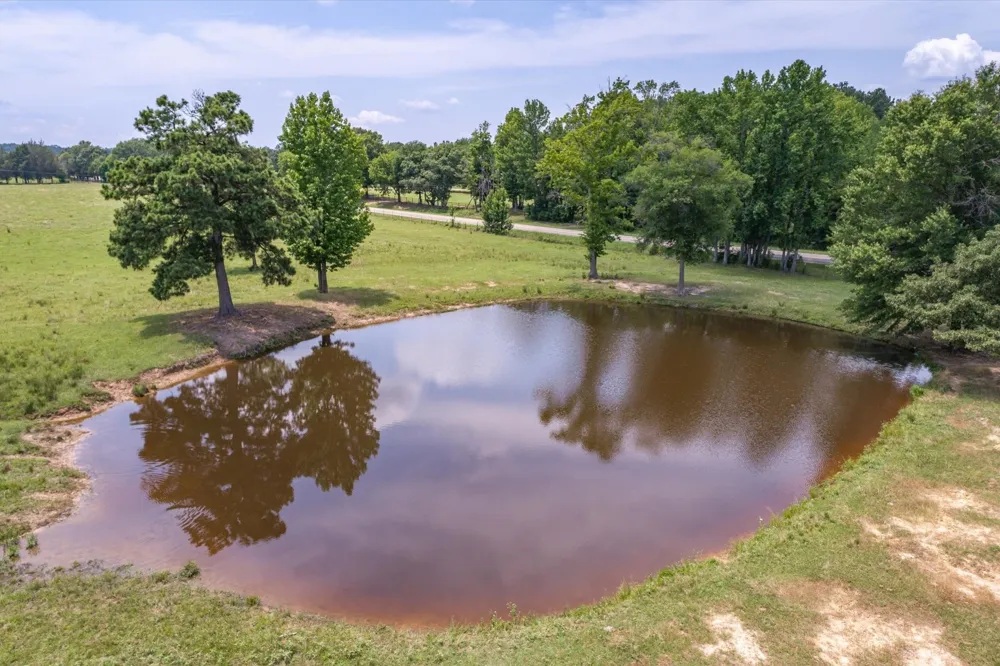 17104 County Road 1100 Flint, TX 75762
