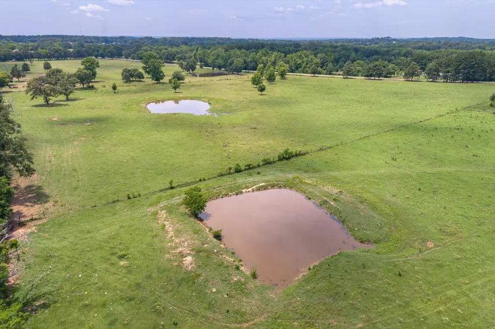 17104 County Road 1100 Flint, TX 75762