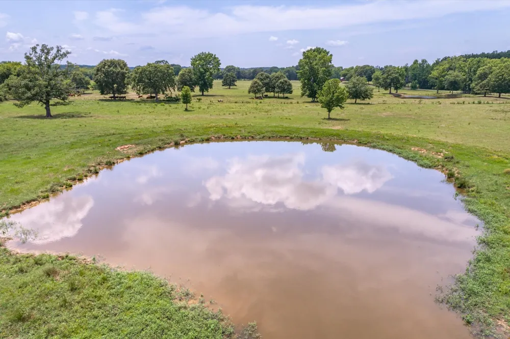 17104 County Road 1100 Flint, TX 75762