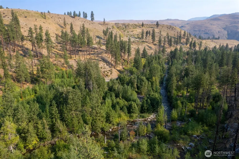 88 TBD Gold Creek Road Carlton, WA 98814