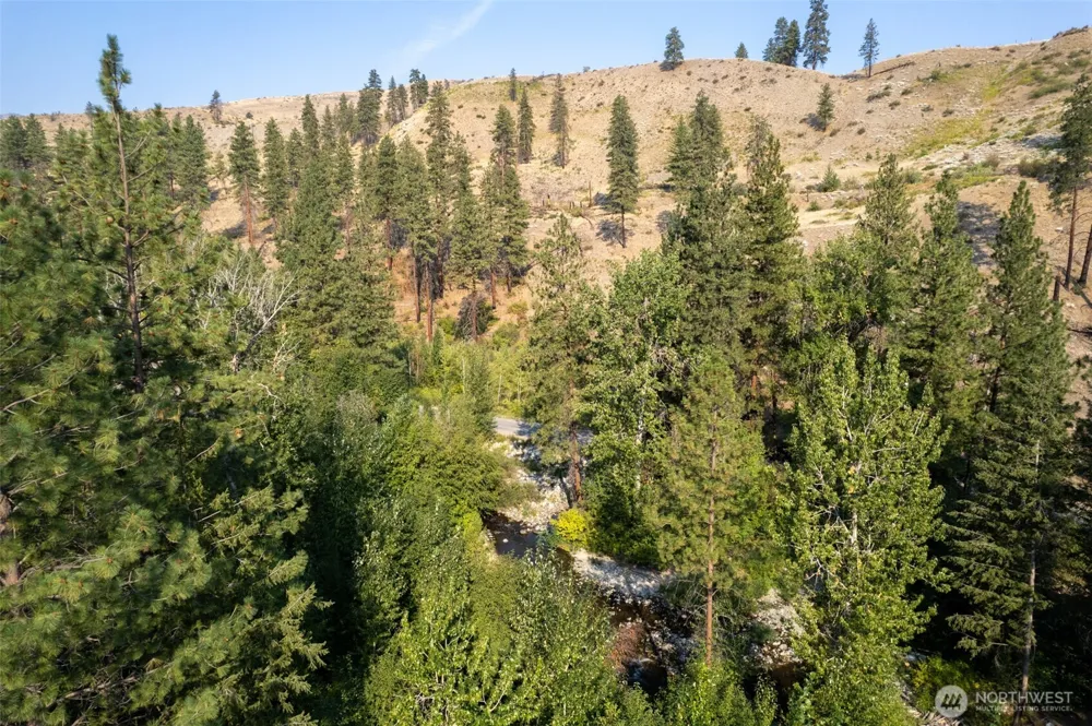 88 TBD Gold Creek Road Carlton, WA 98814