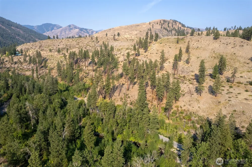 88 TBD Gold Creek Road Carlton, WA 98814