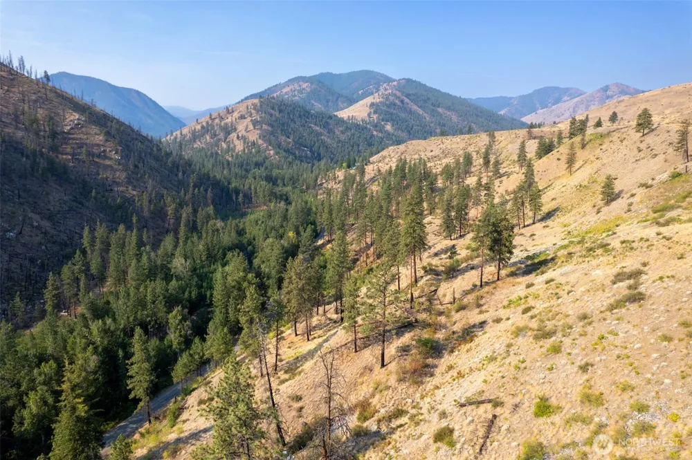 88 TBD Gold Creek Road Carlton, WA 98814