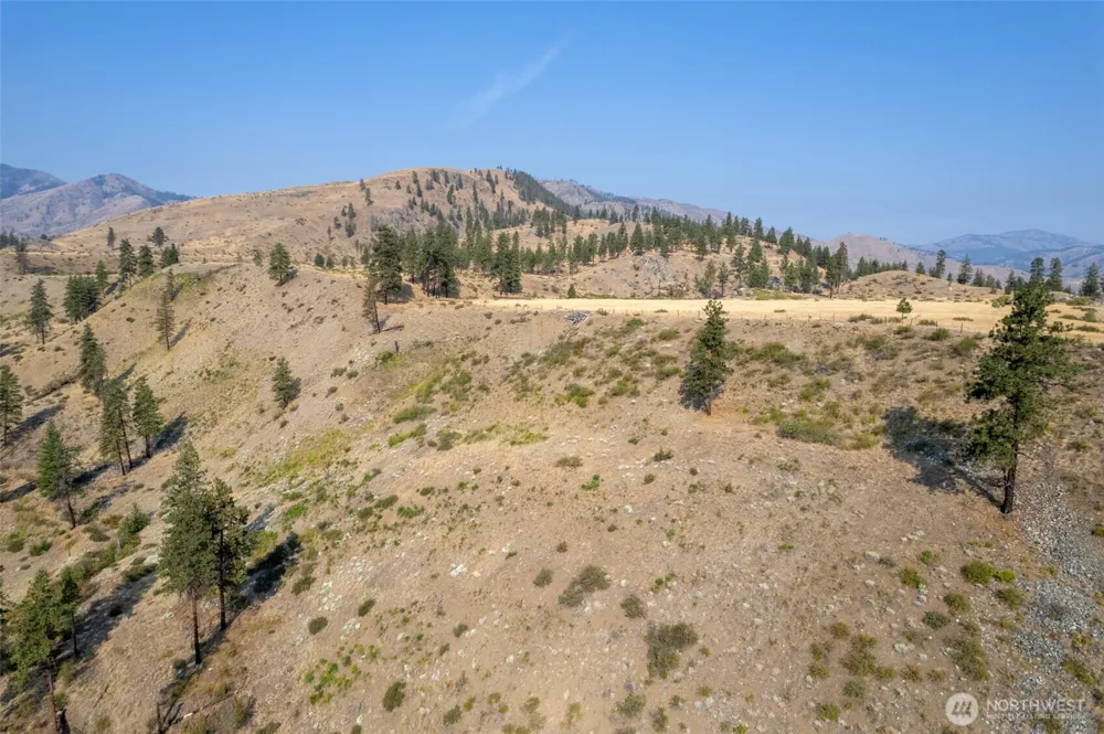 88 TBD Gold Creek Road Carlton, WA 98814