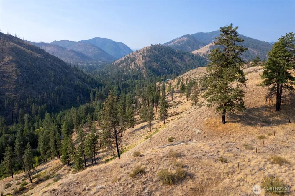 88 TBD Gold Creek Road Carlton, WA 98814
