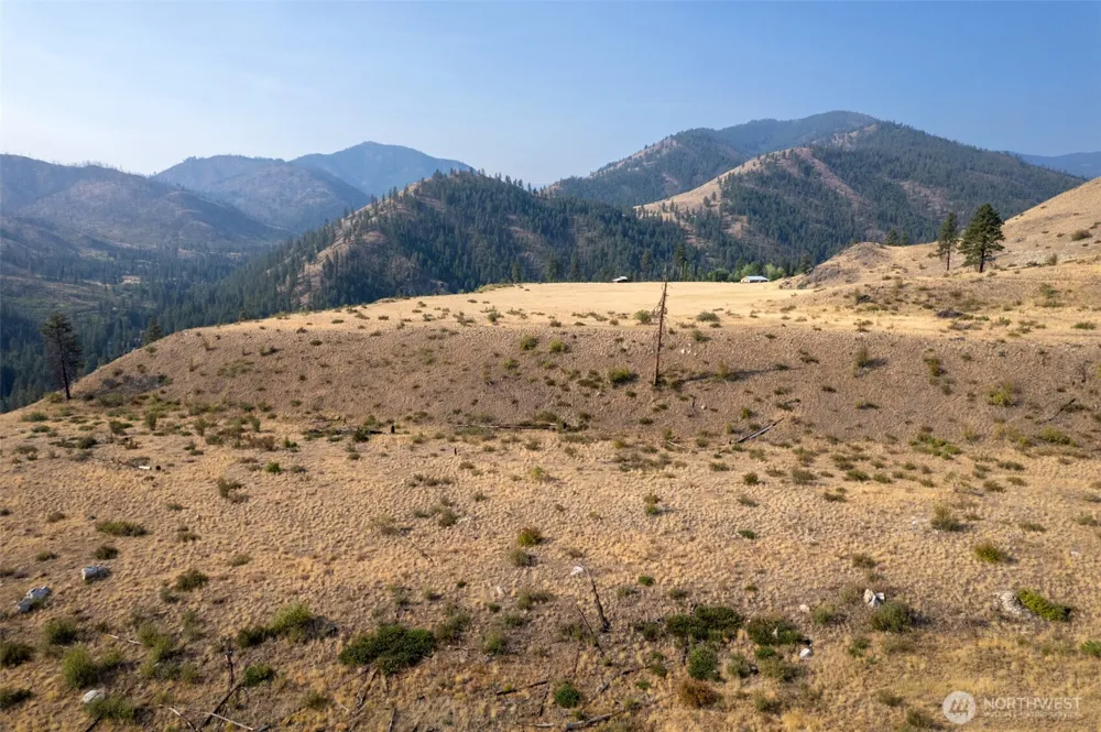 88 TBD Gold Creek Road Carlton, WA 98814