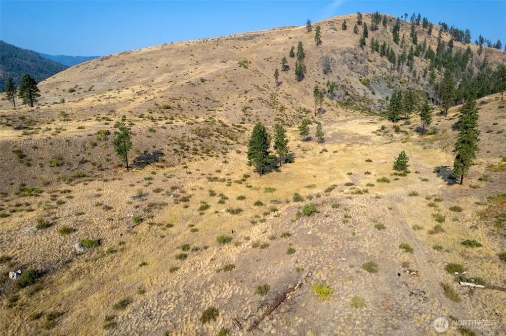88 TBD Gold Creek Road Carlton, WA 98814