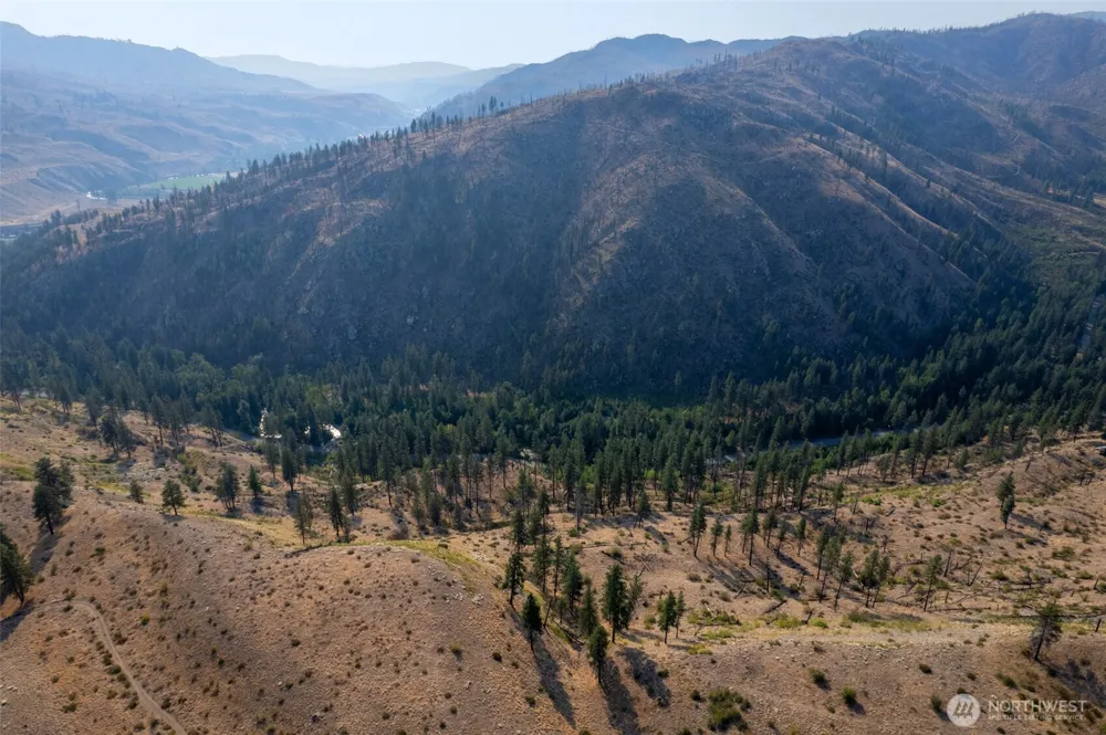 88 TBD Gold Creek Road Carlton, WA 98814