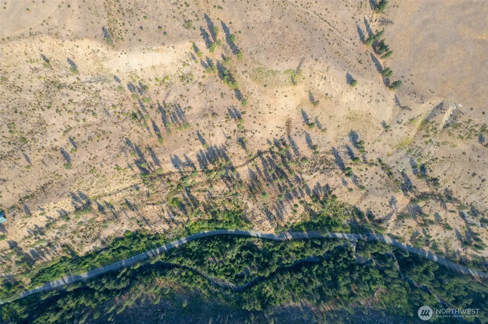 88 TBD Gold Creek Road Carlton, WA 98814