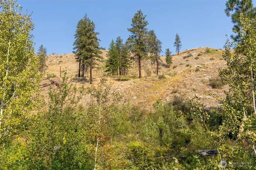 88 TBD Gold Creek Road Carlton, WA 98814