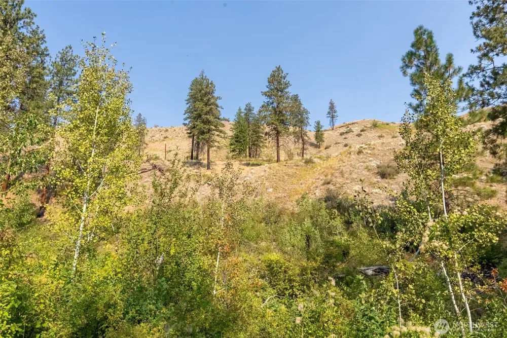 88 TBD Gold Creek Road Carlton, WA 98814