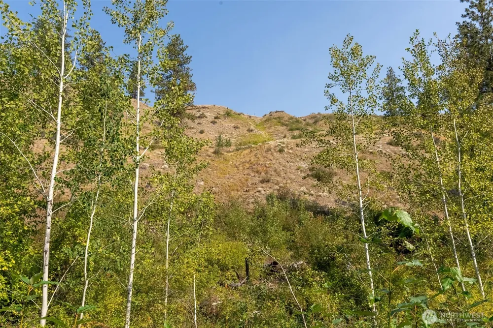 88 TBD Gold Creek Road Carlton, WA 98814