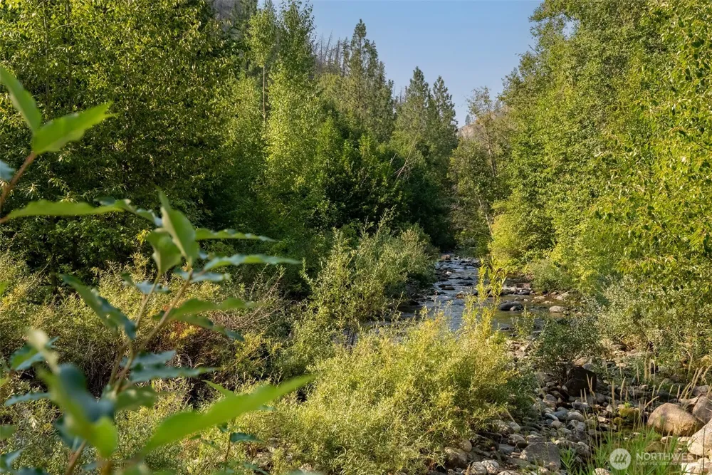 88 TBD Gold Creek Road Carlton, WA 98814