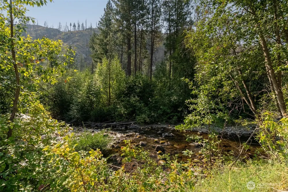 88 TBD Gold Creek Road Carlton, WA 98814