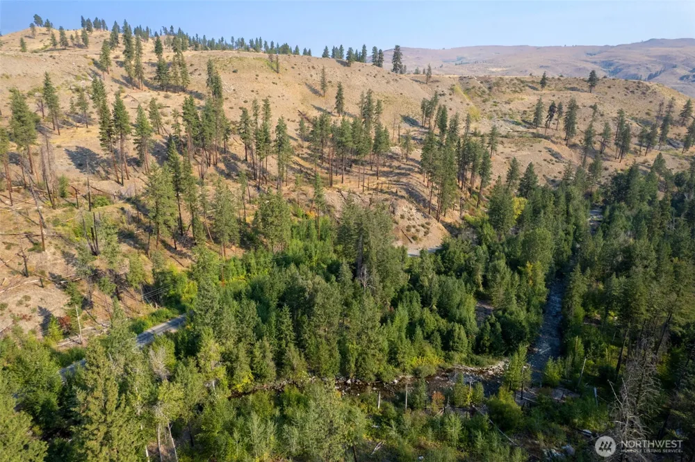 88 TBD Gold Creek Road Carlton, WA 98814