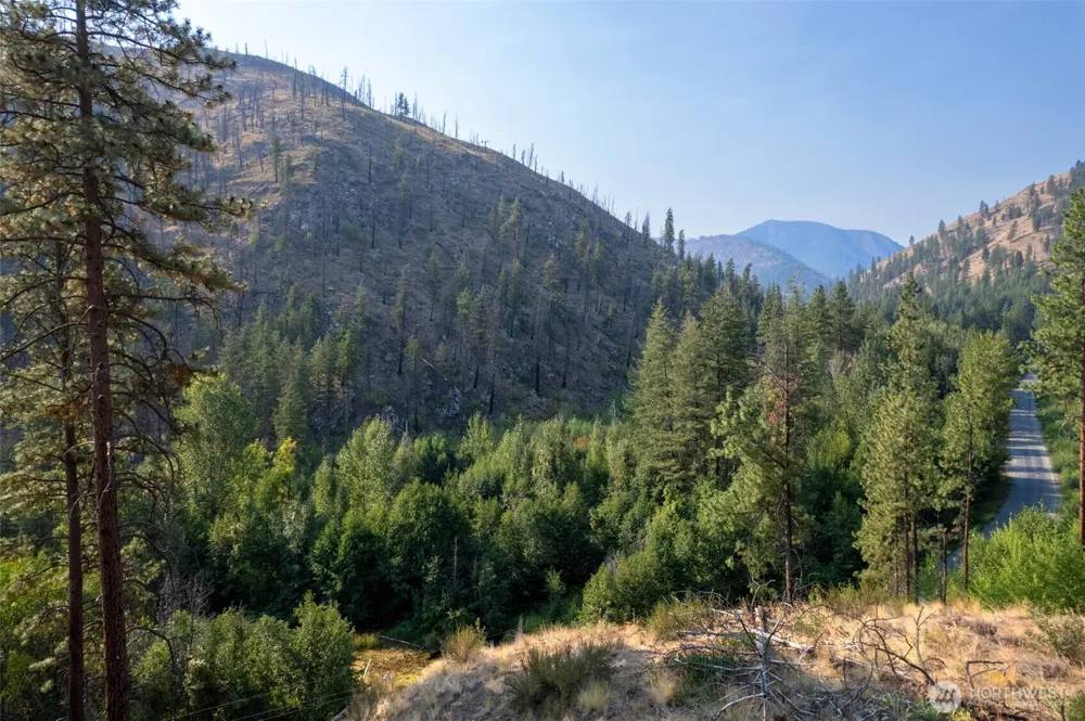 88 TBD Gold Creek Road Carlton, WA 98814