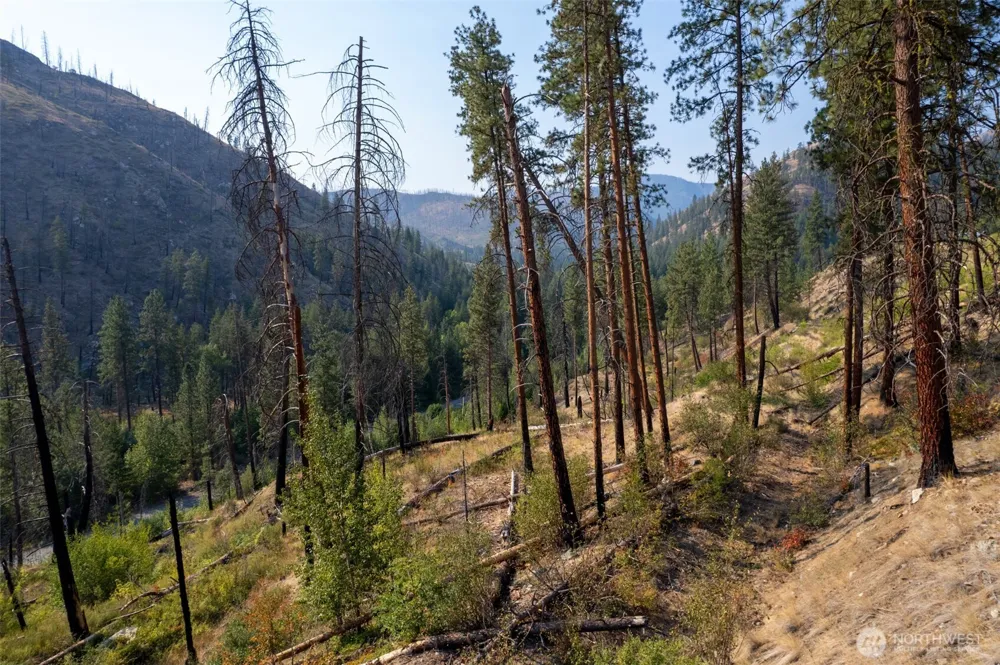 88 TBD Gold Creek Road Carlton, WA 98814