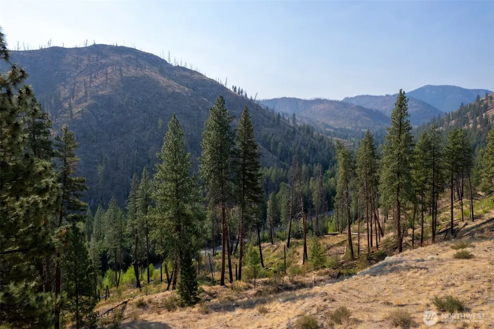 88 TBD Gold Creek Road Carlton, WA 98814