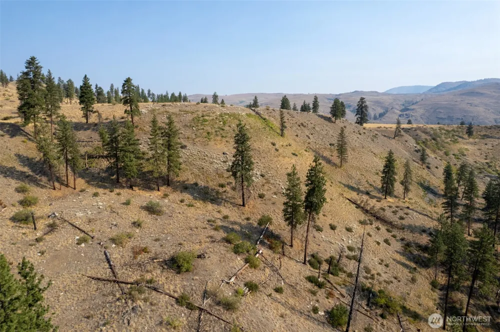 88 TBD Gold Creek Road Carlton, WA 98814