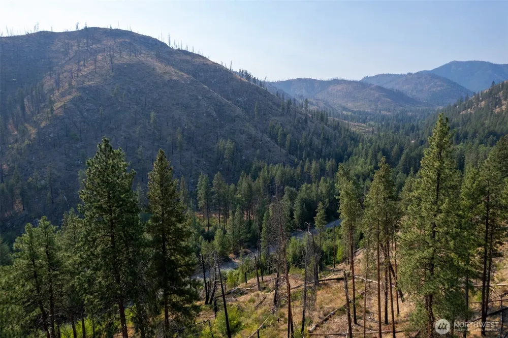 88 TBD Gold Creek Road Carlton, WA 98814