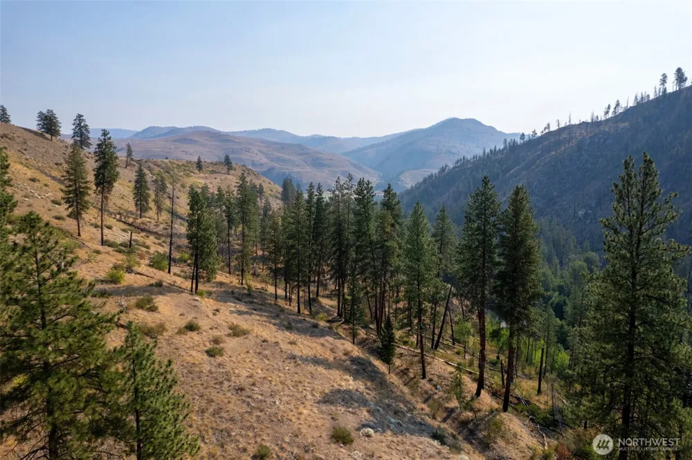 88 TBD Gold Creek Road Carlton, WA 98814