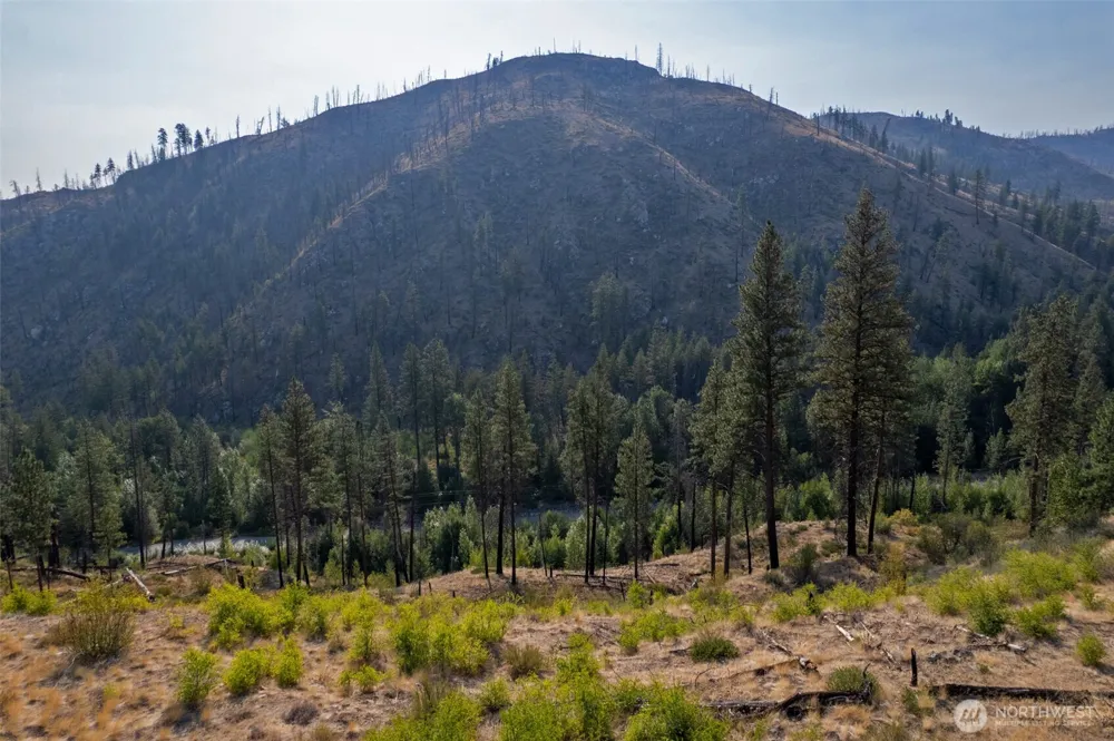 88 TBD Gold Creek Road Carlton, WA 98814