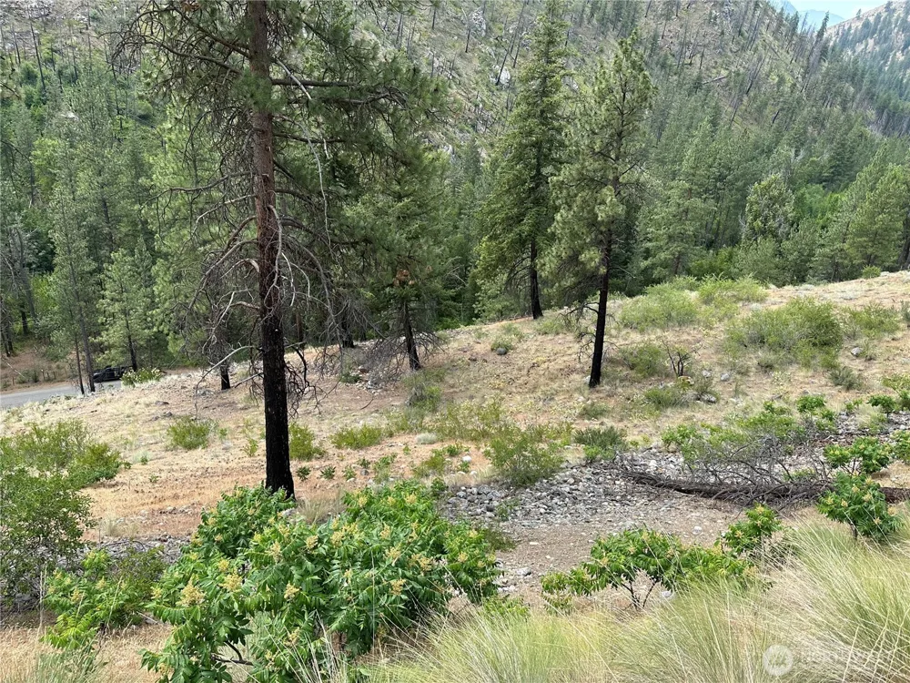 88 TBD Gold Creek Road Carlton, WA 98814