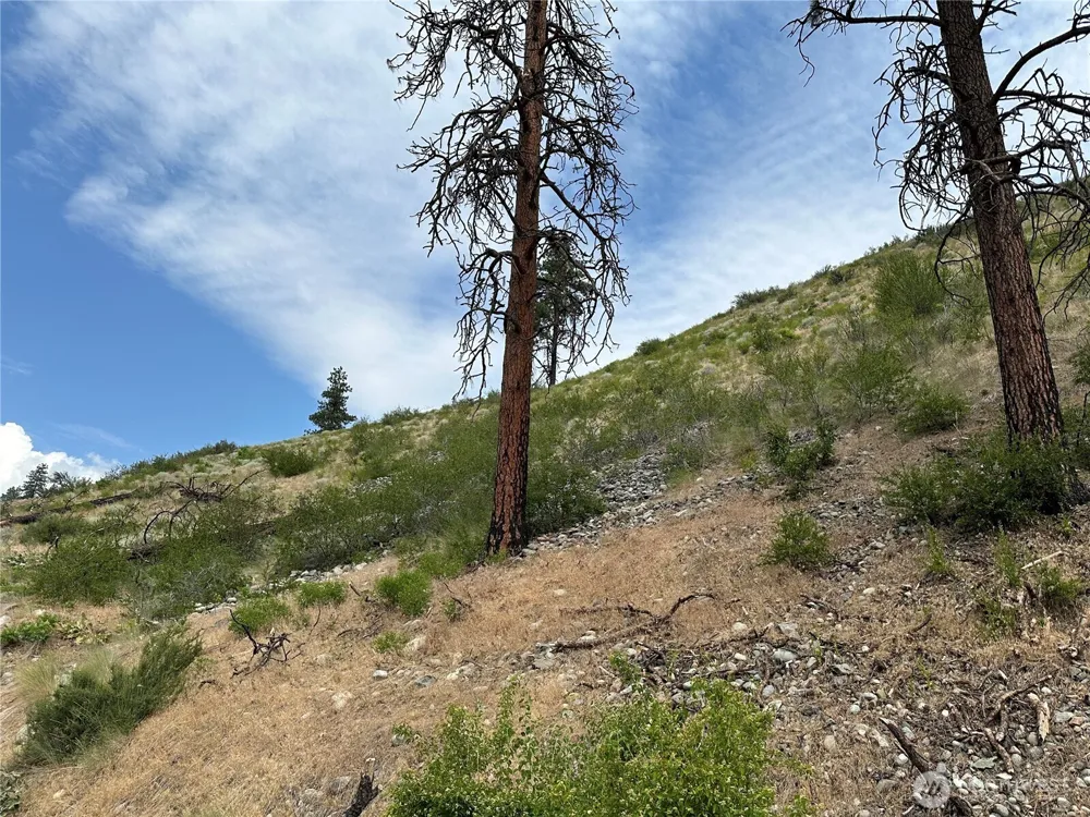88 TBD Gold Creek Road Carlton, WA 98814