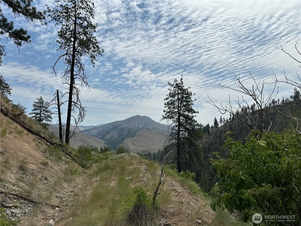 88 TBD Gold Creek Road Carlton, WA 98814