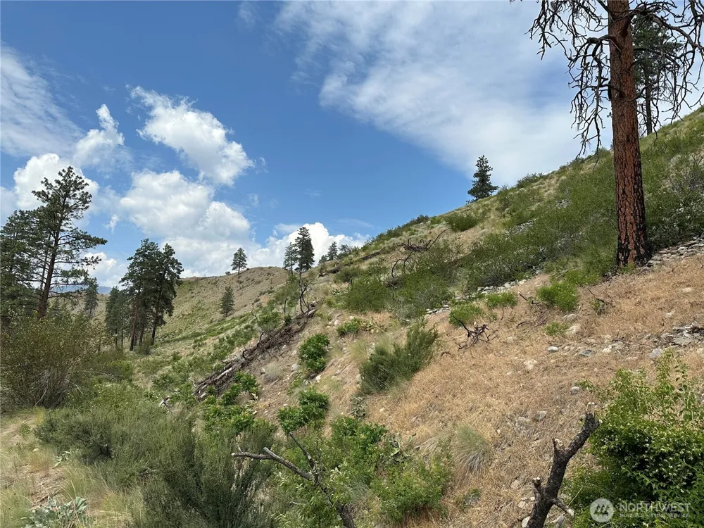 88 TBD Gold Creek Road Carlton, WA 98814