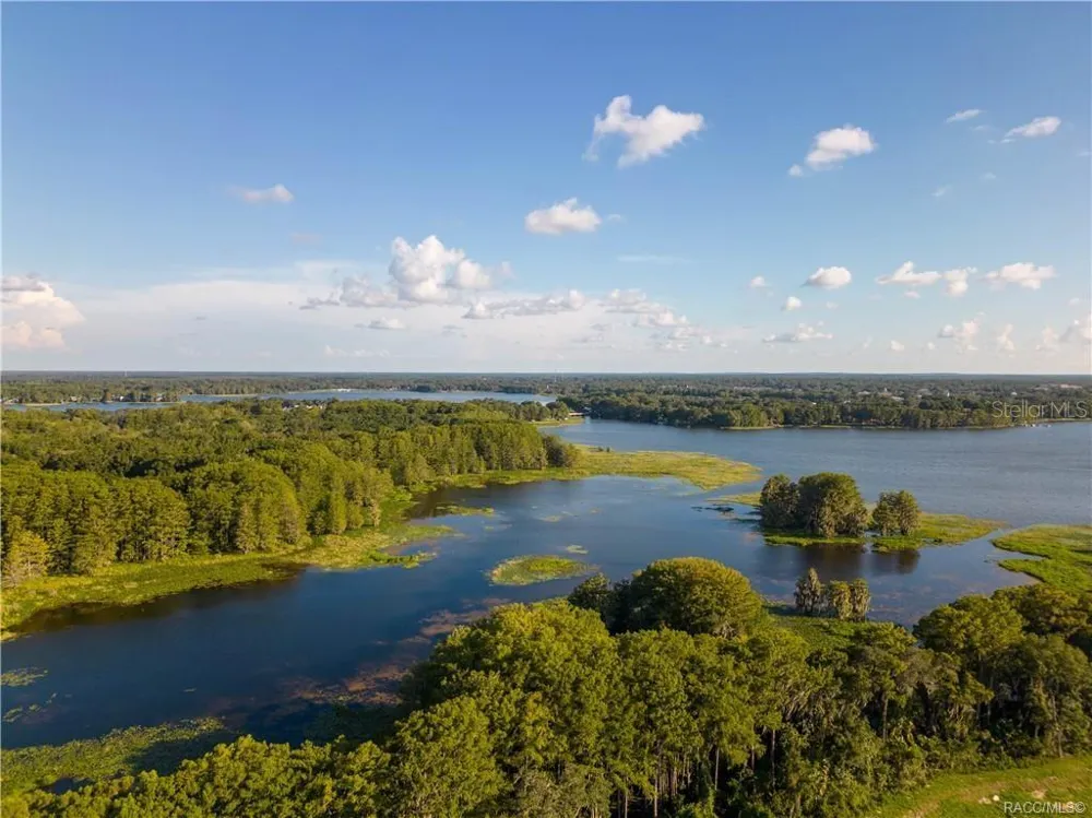 956 IBIS CIRCLE Inverness, FL 34453