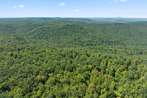 158 Lick Hollow Br
