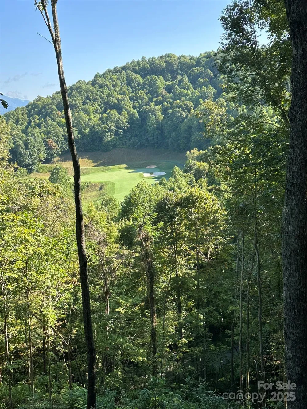 142 Old Growth Way #58 Sylva, NC 28779
