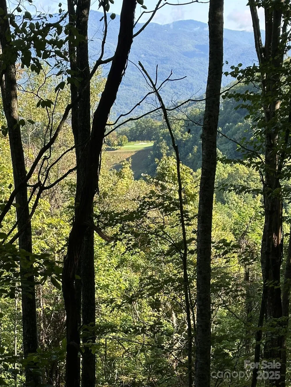 142 Old Growth Way #58 Sylva, NC 28779