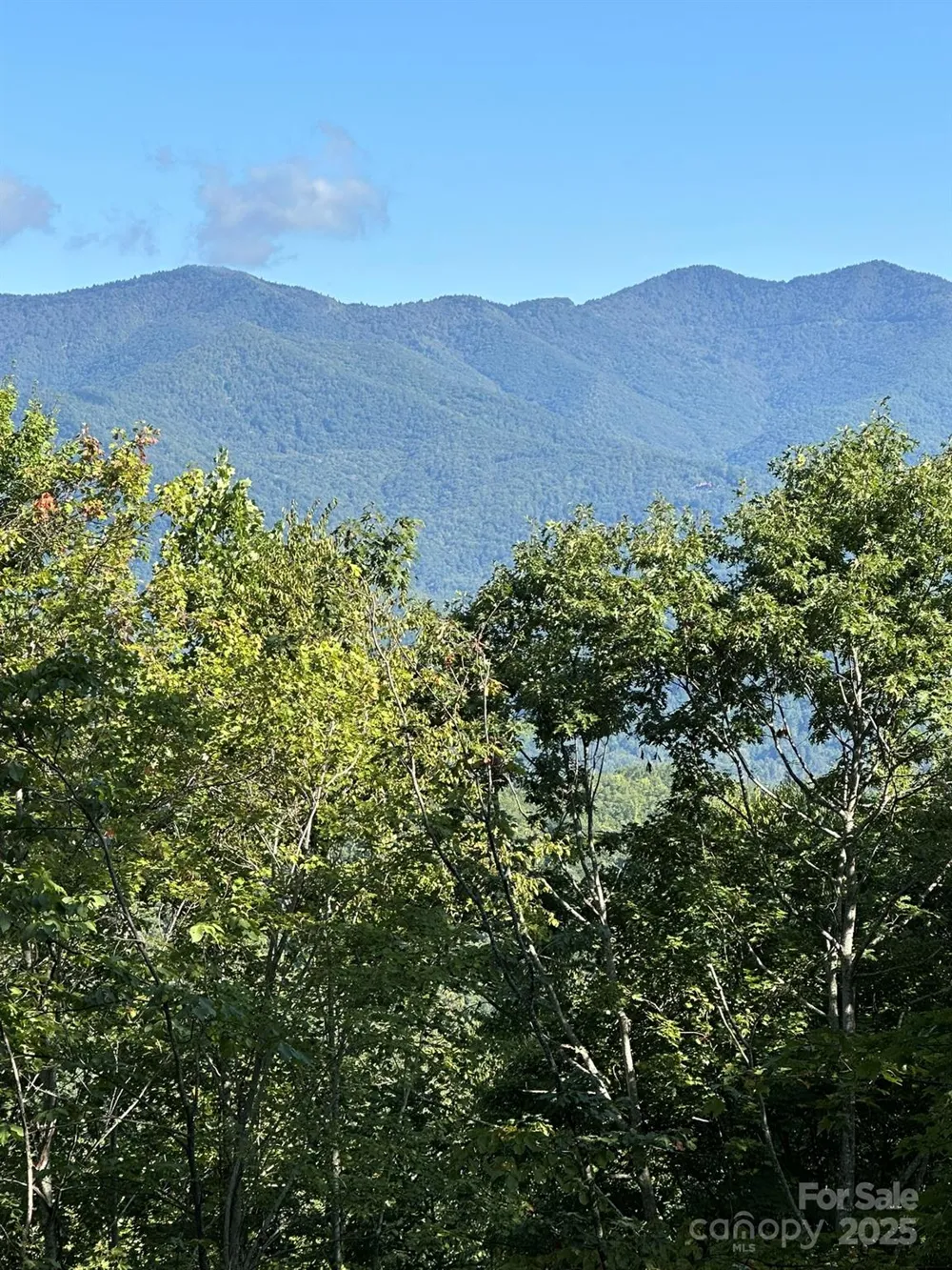 142 Old Growth Way #58 Sylva, NC 28779