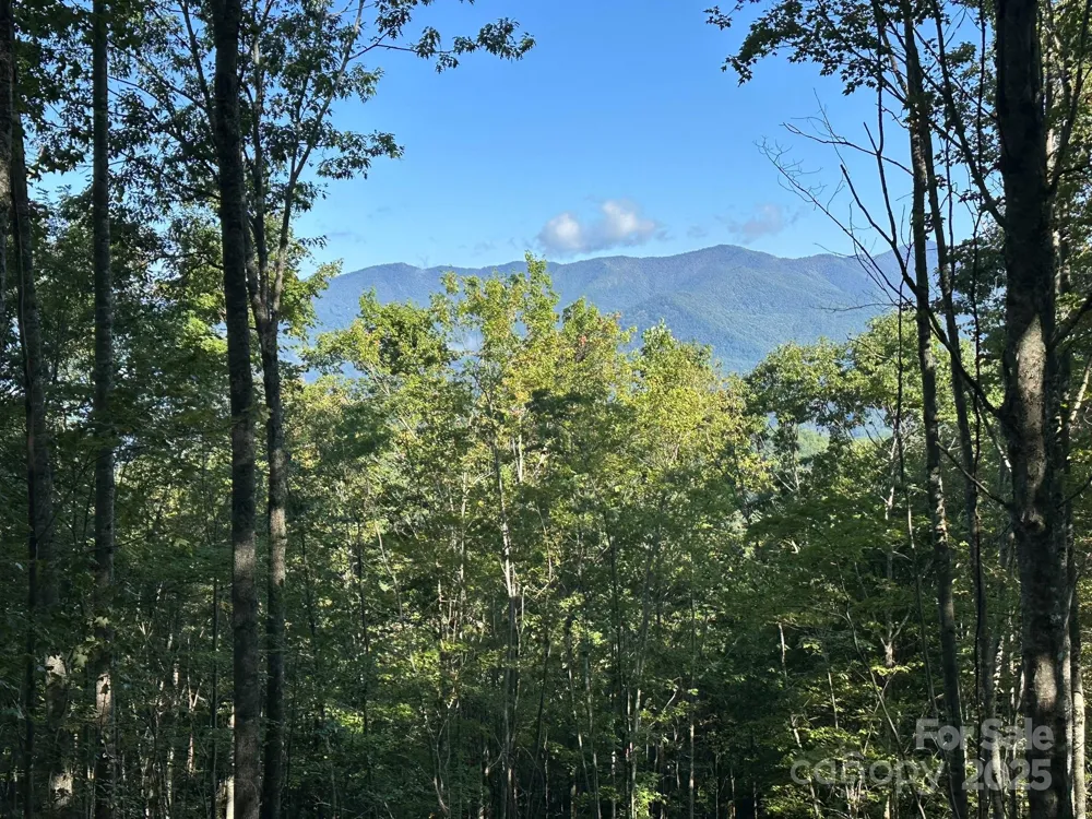 142 Old Growth Way #58 Sylva, NC 28779