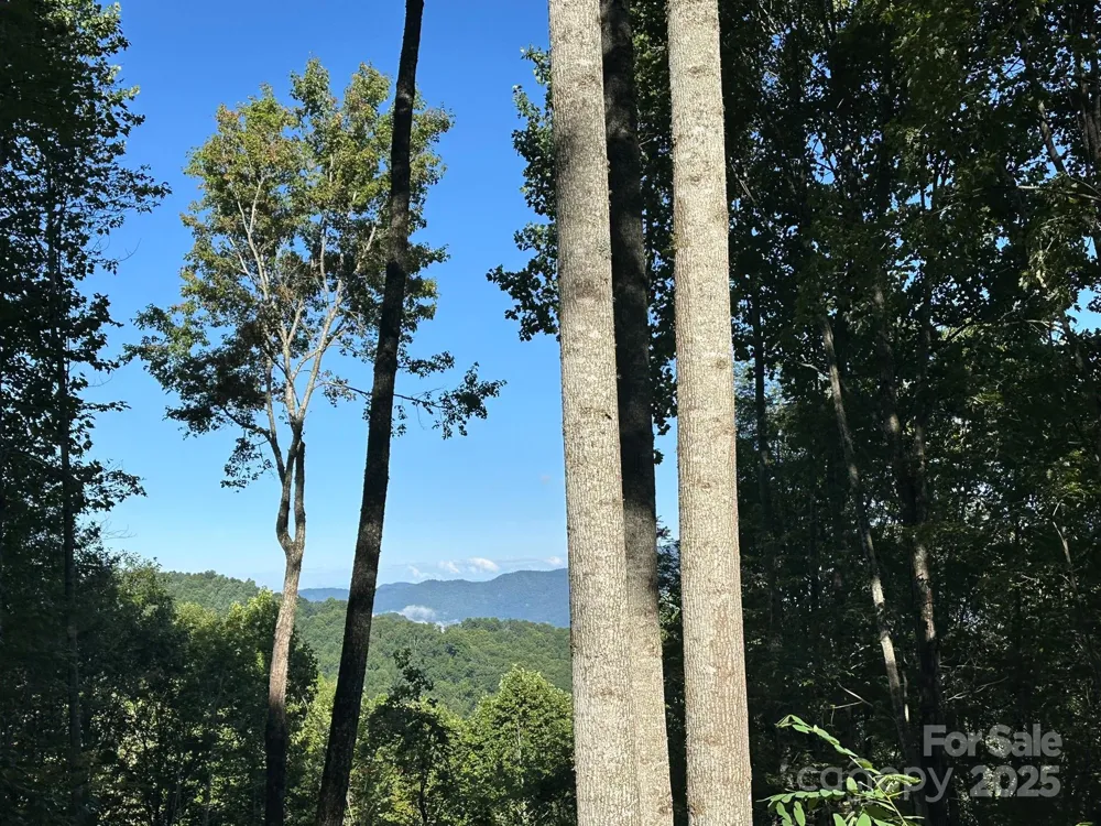142 Old Growth Way #58 Sylva, NC 28779