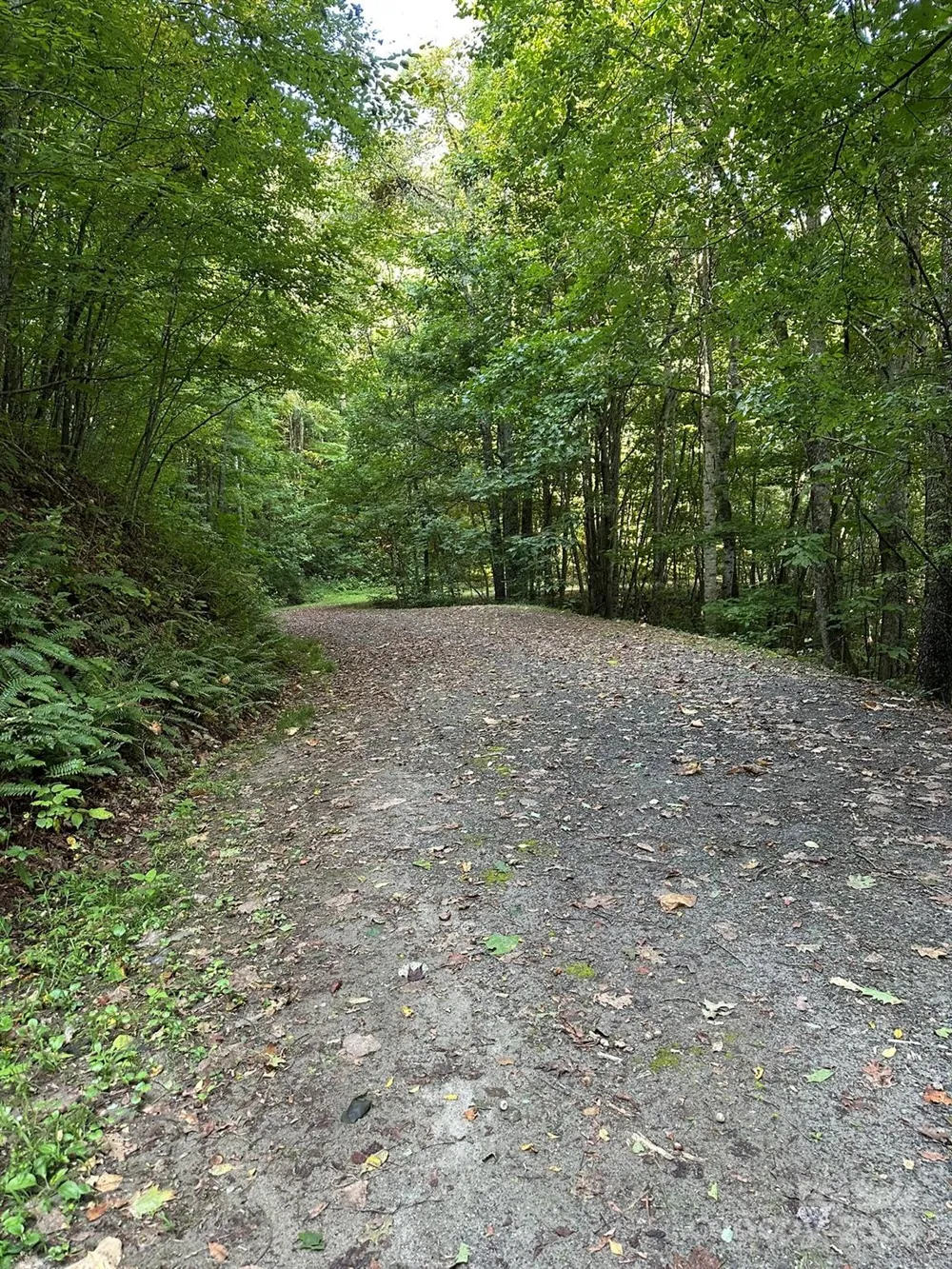 142 Old Growth Way #58 Sylva, NC 28779