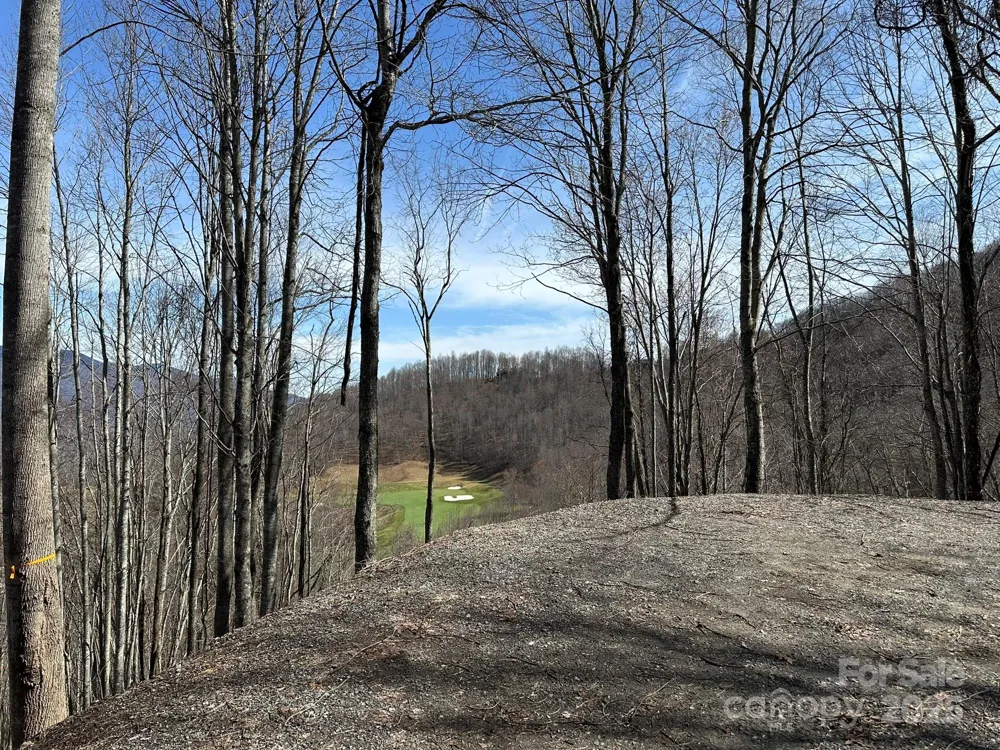 142 Old Growth Way #58 Sylva, NC 28779